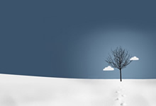 贝西克塔告负，晋级陷入困境